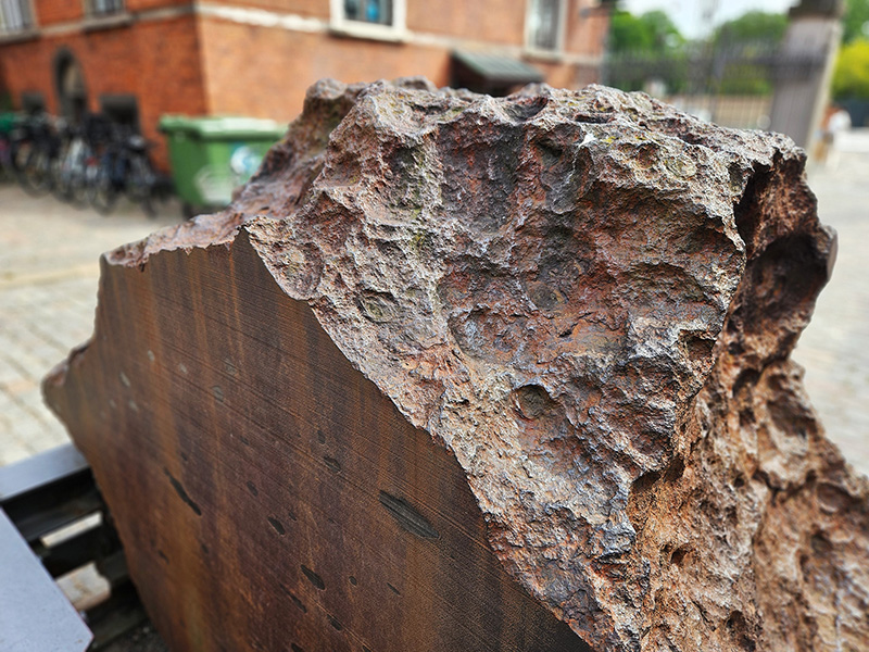 Cape York (Agpalilik), Muzeum Historii Naturalnej w Kopenhadze (Statens Naturhistoriske Museum, Kobenhavn; Natural History Museum Denmark; Copenhagen)