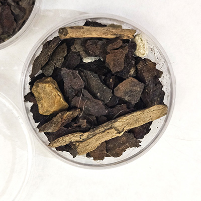 Cape York, shale