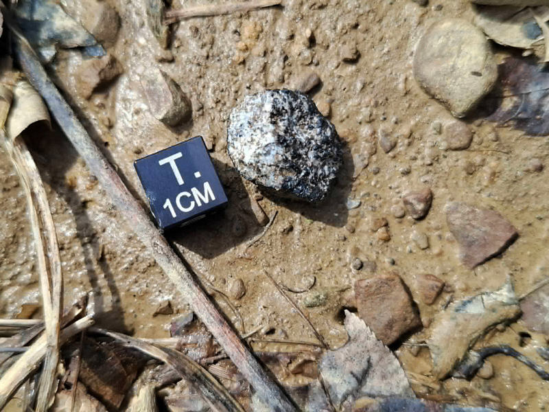 Wadsworth* (EUC-mmict)