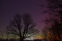 Zorza polarna, 20 stycznia 2026 r. (Aurora borealis, January 20, 2026)