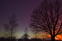 Zorza polarna, 20 stycznia 2026 r. (Aurora borealis, January 20, 2026)