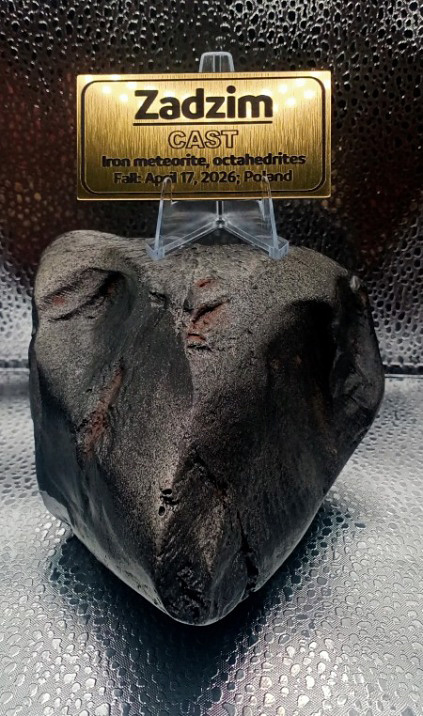 Meteorites Zadzim (cast) for sale