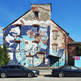 Litwa, otwa, Estonia; Saaremaa, 2024