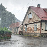 Litwa, otwa, Estonia; Saaremaa, 2024