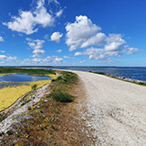 Litwa, otwa, Estonia; Saaremaa, 2024