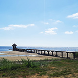 Litwa, otwa, Estonia; Saaremaa, 2024