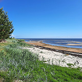 Litwa, otwa, Estonia; Saaremaa, 2024