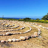 Litwa, otwa, Estonia; Saaremaa, 2024