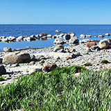 Litwa, otwa, Estonia; Saaremaa, 2024