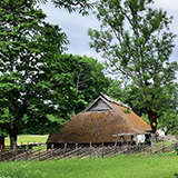 Litwa, otwa, Estonia; Saaremaa, 2024