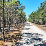 Litwa, otwa, Estonia; Saaremaa, 2024