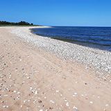 Litwa, otwa, Estonia; Saaremaa, 2024
