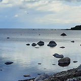 Litwa, otwa, Estonia; Saaremaa, 2024