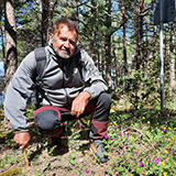 Litwa, otwa, Estonia; Saaremaa, 2024