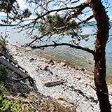 Litwa, otwa, Estonia; Saaremaa, 2024