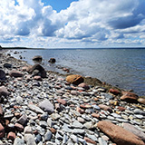 Litwa, otwa, Estonia; Saaremaa, 2024