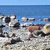 Litwa, otwa, Estonia; Saaremaa, 2024
