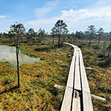 Litwa, otwa, Estonia; Saaremaa, 2024