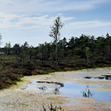 Litwa, otwa, Estonia; Saaremaa, 2024