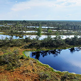 Litwa, otwa, Estonia; Saaremaa, 2024