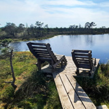 Litwa, otwa, Estonia; Saaremaa, 2024
