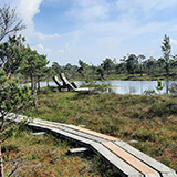 Litwa, otwa, Estonia; Saaremaa, 2024