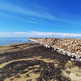 Litwa, otwa, Estonia; Saaremaa, 2024