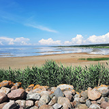 Litwa, otwa, Estonia; Saaremaa, 2024