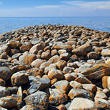 Litwa, otwa, Estonia; Saaremaa, 2024