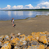 Litwa, otwa, Estonia; Saaremaa, 2024