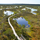 Litwa, otwa, Estonia; Saaremaa, 2024