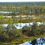 Litwa, otwa, Estonia; Saaremaa, 2024