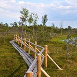 Litwa, otwa, Estonia; Saaremaa, 2024