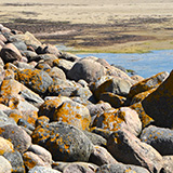 Litwa, otwa, Estonia; Saaremaa, 2024