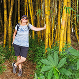 Twin Falls Maui Waterfall HANA; bambus