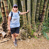 Twin Falls Maui Waterfall HANA; bambus