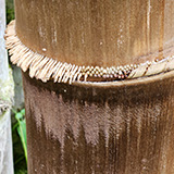 Twin Falls Maui Waterfall HANA; bambus