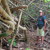 Twin Falls Maui Waterfall HANA; park