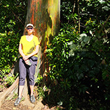 Waikamoi Nature Trailhead and Parking Area (Hawaii, Maui)