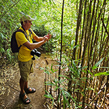 Waikamoi Nature Trailhead and Parking Area (Hawaii, Maui)