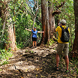 Waikamoi Nature Trailhead and Parking Area (Hawaii, Maui)
