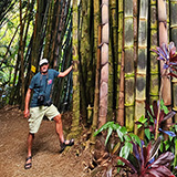 Garden of Eden Arboretum; bambus