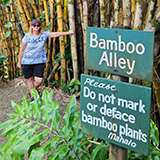Garden of Eden Arboretum; bambus