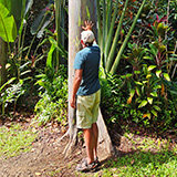 Garden of Eden Arboretum; eukaliptus
