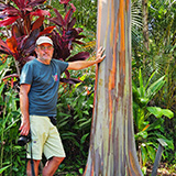 Garden of Eden Arboretum; eukaliptus