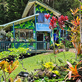 Garden of Eden Arboretum; park