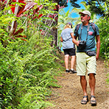 Garden of Eden Arboretum; panorama