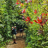 Garden of Eden Arboretum; panorama