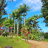 Garden of Eden Arboretum; panorama