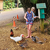 Garden of Eden Arboretum; panorama